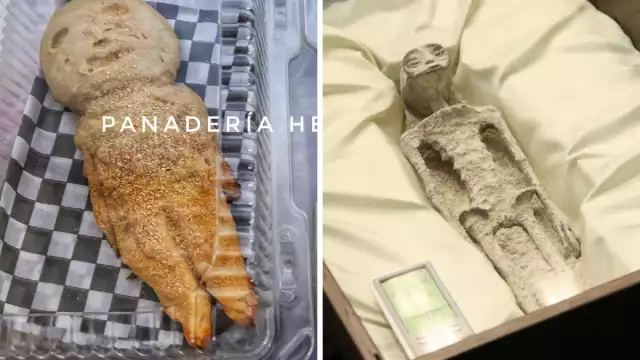 La conchalien es creación de panadería La Herencia JD