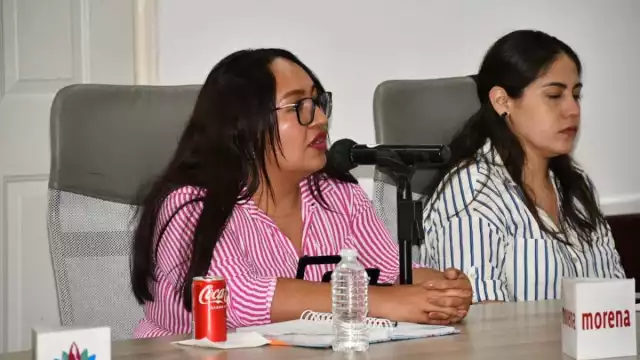 María José Cervantes Vázquez, representante de Morena en el IEEC