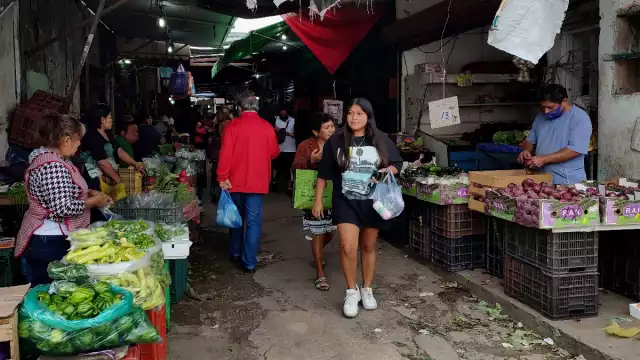 Actualmente la sandía se vive hasta en 5 pesos el kilo