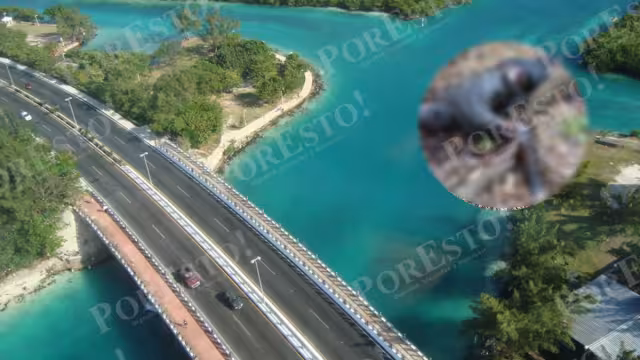 El cuerpo del hombre se encontraba momificado y tirado boca abajo