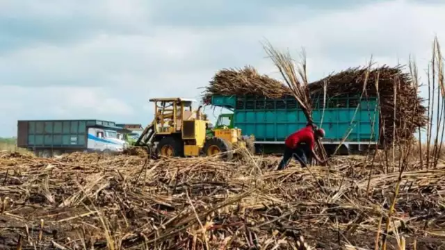 Cañeros de Quintana Roo no logran el acuerdo esperado para préstamo, quieren cobrarles intereses