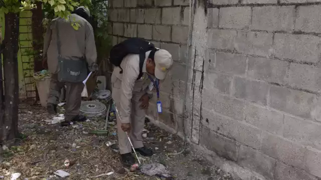 Esta temporada de lluvias la SSa busca prevenir el aumento de contagio de dengue