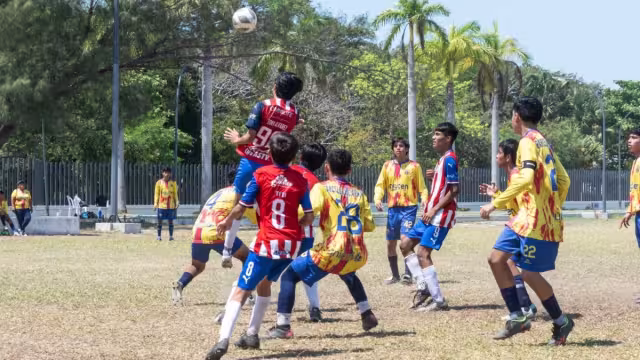Algunos de los campos que se usarán son el “Mario Boeta Blanco” y “Belisario Domínguez”