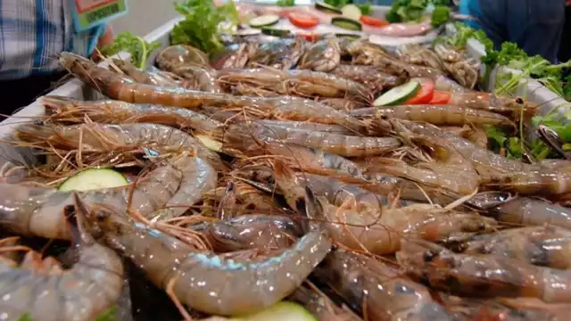 Buscarán opciones para que no se siga depredando el camarón