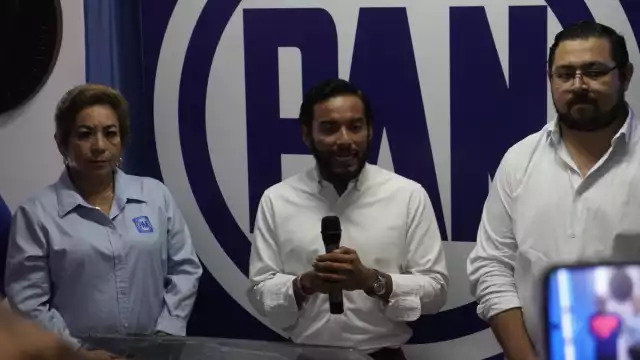 Al hacer el vaciado de información, no aparecen como representantes de la población indígena o en su caso, de las personas que poseen alguna discapacidad