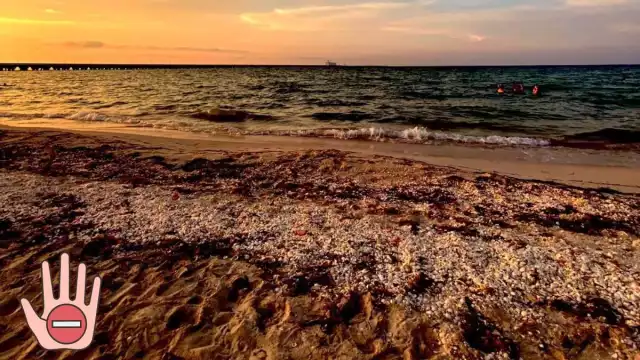 Las cámaras captaron a la pareja en Progreso