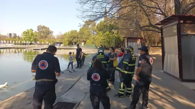La familia fue rescatada sana y salva del lago de Chapultepec