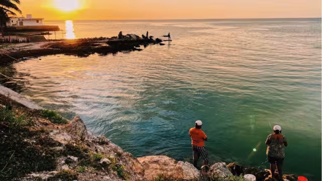 Los pelícanos descendieron en el Chabihau, Yobaín