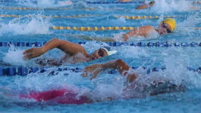 La meta del festival es recaudar mil litros de leche para una casa hogar