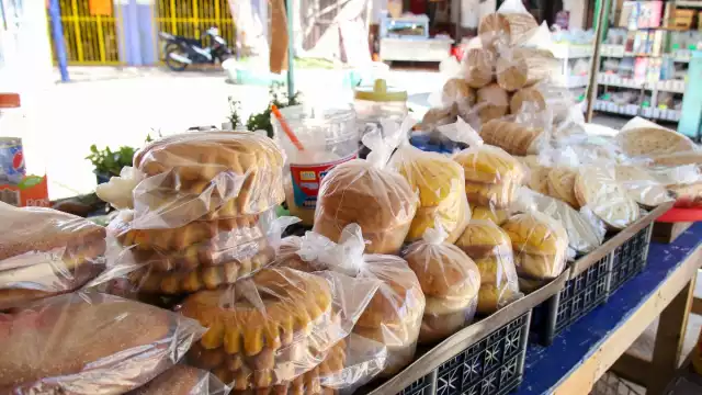 Se dará una última oportunidad para erradicar por completo de la Entidad el material derivado de petróleo; en breve se reunirán con los Ayuntamientos.