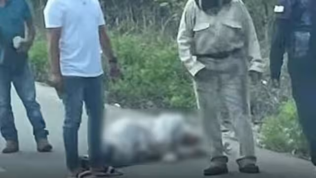 El apicultor fue trasladado a un hospital