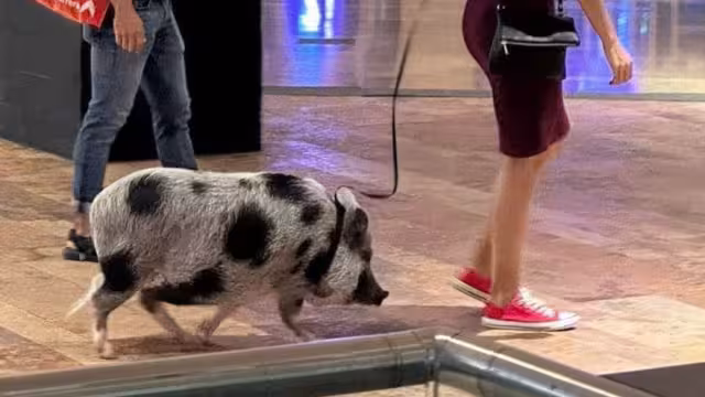 La pareja se hizo viral en redes sociales