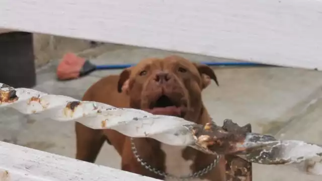 Minutos más tarde, arribaron personal paramédico de Protección Civil