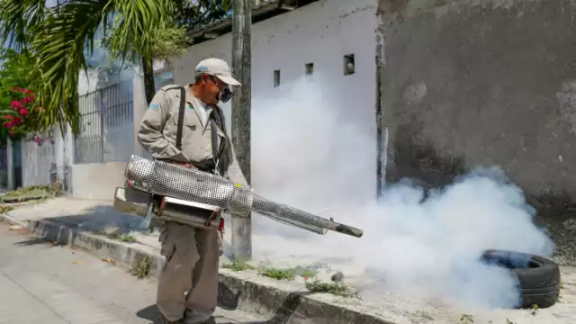 La entidad reporta tan sólo en el municipio de Benito Juárez un total de 491 casos confirmados