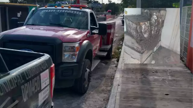 El hombre fue trasladado al hospital San Carlos para atender las picaduras