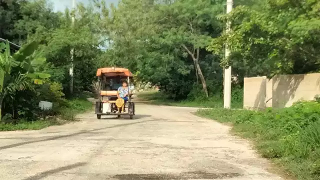 Recordó que han solicitado la limpieza de varias calles donde hay bastante hierba crecida