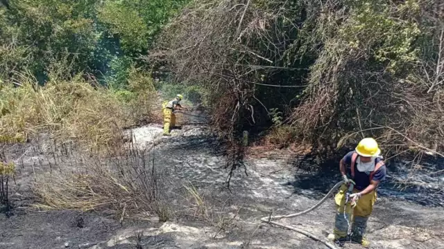 En cuestión de 30 minutos lograron controlar la situación