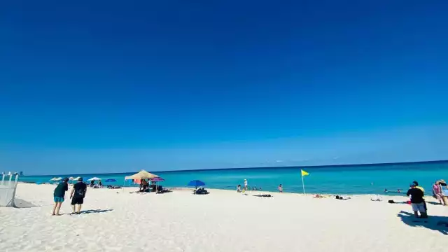 Nadie salió herido durante el avistamiento del tiburón en Cancún