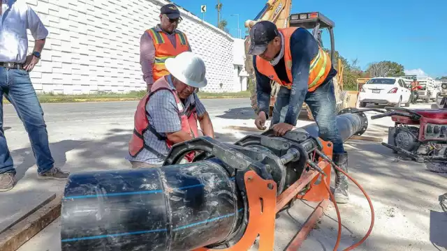 Son alrededor de 250 trabajadores que laboran en Quintana Roo
