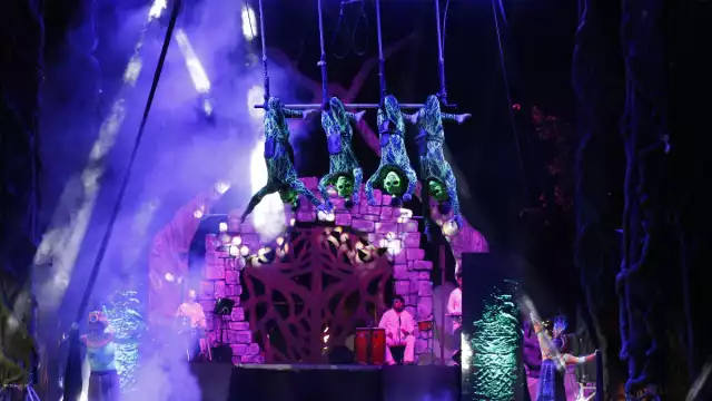 Los proyectos aprobados buscan entretener al público en general, y serán adaptados para todo tipo de visitantes