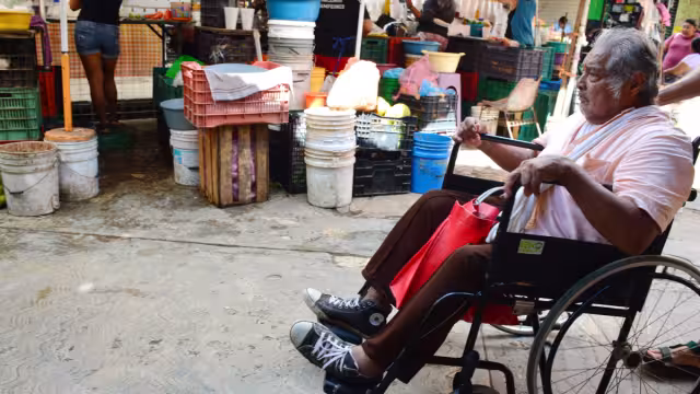 Existe un vacío al aplicar los lineamientos con perspectiva de género