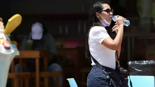 Este fenómeno se presenta entre el 15 y 20 de julio y termina aproximadamente a mediados de agosto. Foto: Cuartoscuro