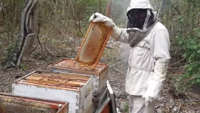 Por su parte, el trabajador Rodrigo Escalante lamentó que los precios sean manipulados por los grandes exportadores