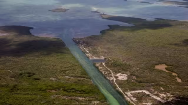 Según lo informado por la Semar en respuesta a una solicitud de información a través de la Plataforma de Transparencia, la Marina sólo realiza vigilancia