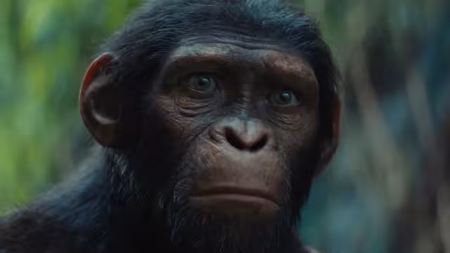 Fue revelado el primer tráiler. Foto: Especial