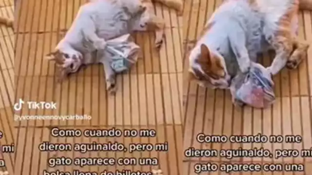 El michi llegó con la Karen a darle el dinero. Foto: Especial