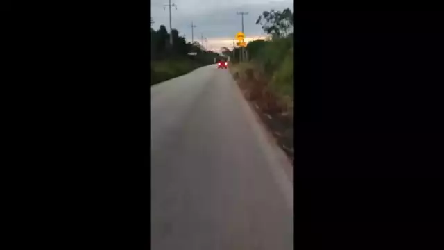 Hasta el momento se desconoce la identidad del conductor y su estado de salud