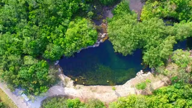 Investigadores de la Universidad Autónoma de Chihuahua y la Universidad Autónoma de Q. Roo discuten los desafíos.