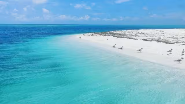 Esta playa se encuentra frente al puerto de Progreso