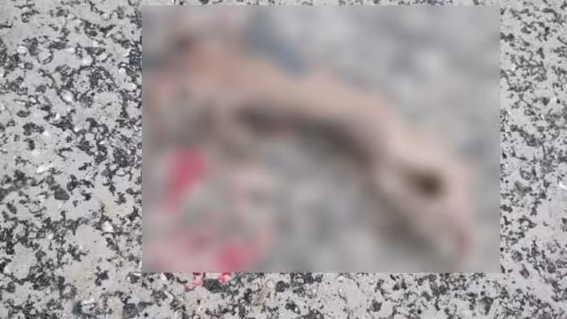 El brazo podría ser identificado por los tatuajes que llevaba