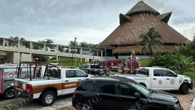 Hasta el momento se desconoce que generó el fuego