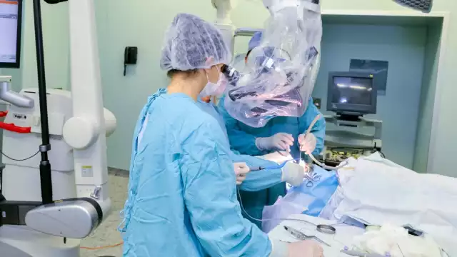 La lombriz fue extraía viva. Foto: Especial