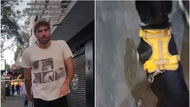 Sujeto agrede a una joven por pelea de mascotas en la Roma, CdMx
