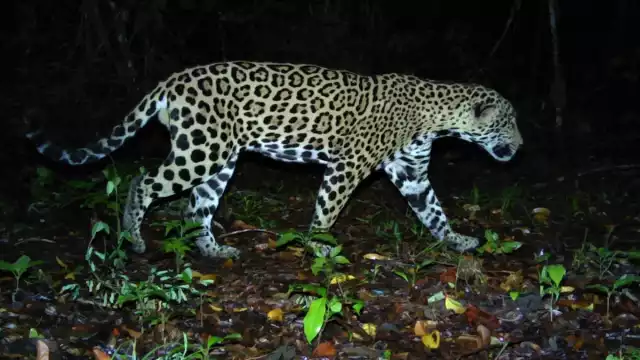 Los espacios entran en operaciones desde hoy 1 de diciembre