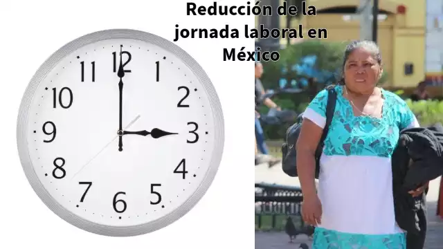 “Les va a mermar 15 o 20% de sus ganancias, pero van a ganar en competitividad y productividad", expone activista