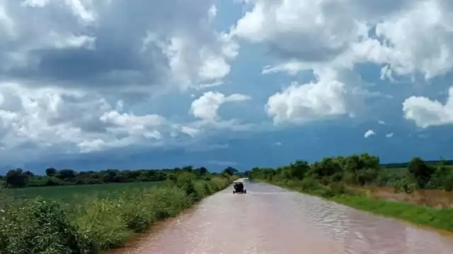 Fuertes lluvias podrán hacer perder los cultivos de soya, maíz y sargo en Hopelchén