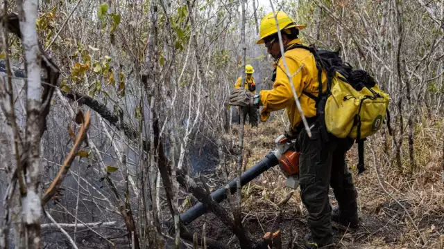 Aún no hay registro de incendios forestales