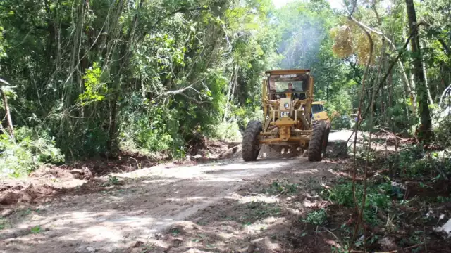 Se hizo el despalme del camino antiguo al puerto de Vigía Chico. Señaló que los trabajos continúan avanzando, de manera acelerada. 

