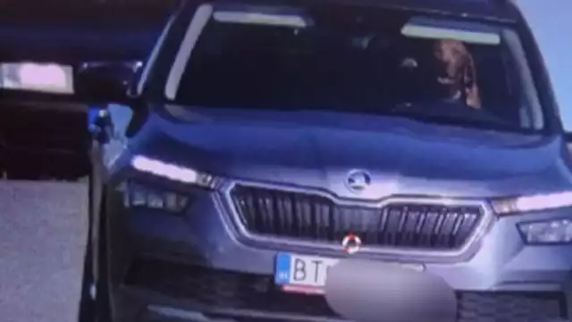 El perro atrás del volante. Foto:Espacio