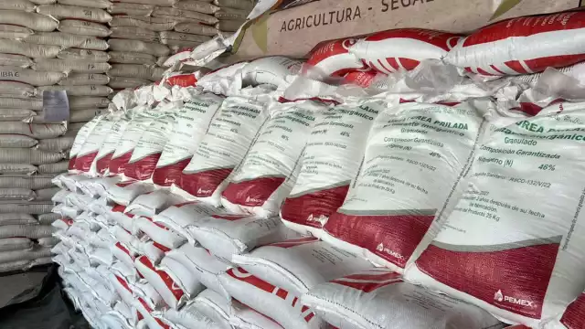 Los fertilizantes servirás para atender aproximadamente 500 mil hectáreas de cultivos de maíz y frijol