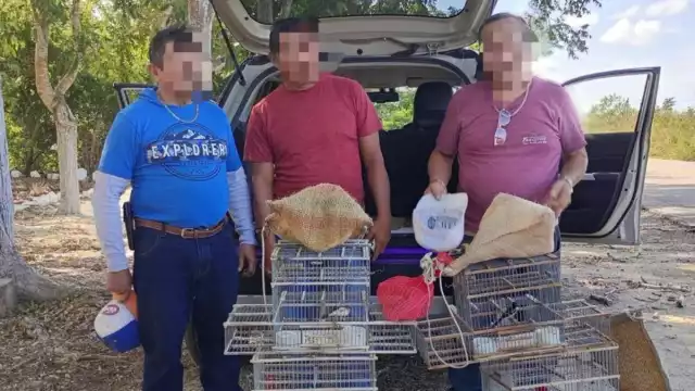 El vehículo fue asegurado y trasladado al corralón para las diligencias correspondientes