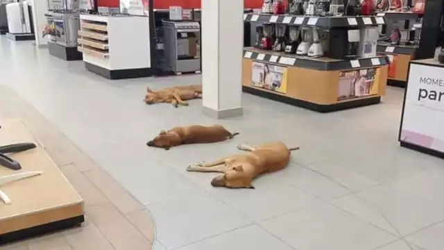 Los internautas aplaudieron la buena labor de los trabajadores