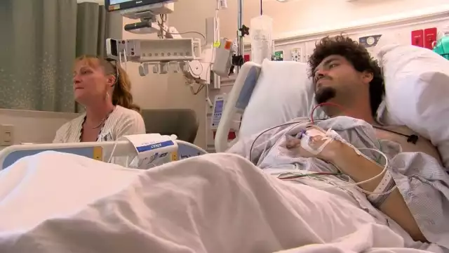 Caimán arranca brazo de hombre afuera de un bar en Florida, Estados Unidos