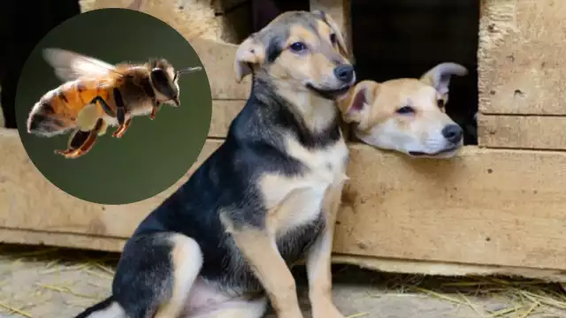 Se notificó que en el lugar de los hechos no hubo registro de personas lesionadas