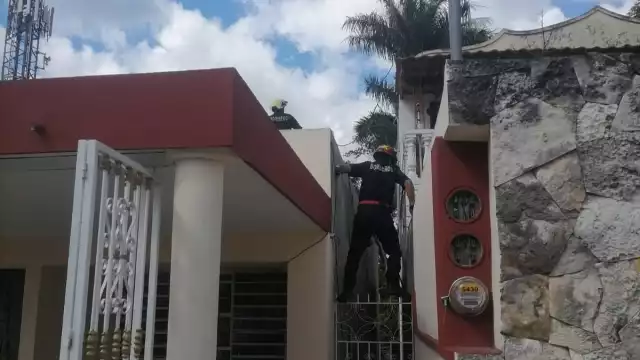 Los elementos policiacos escucharon los maullidos del felino en el techo y pidieron el apoyo de los bomberos