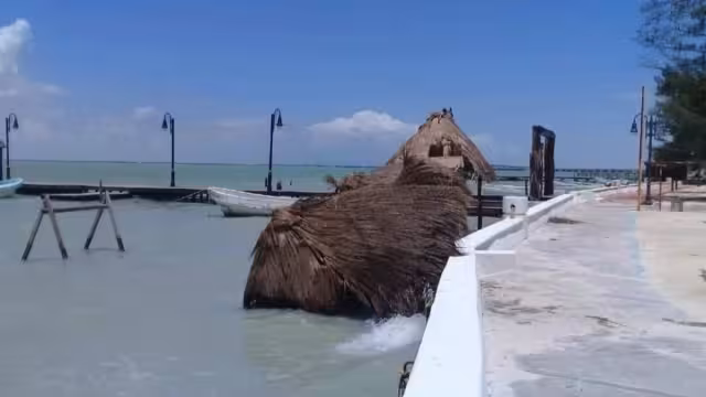 Durante la última semana se cayeron cerca de siete palapas